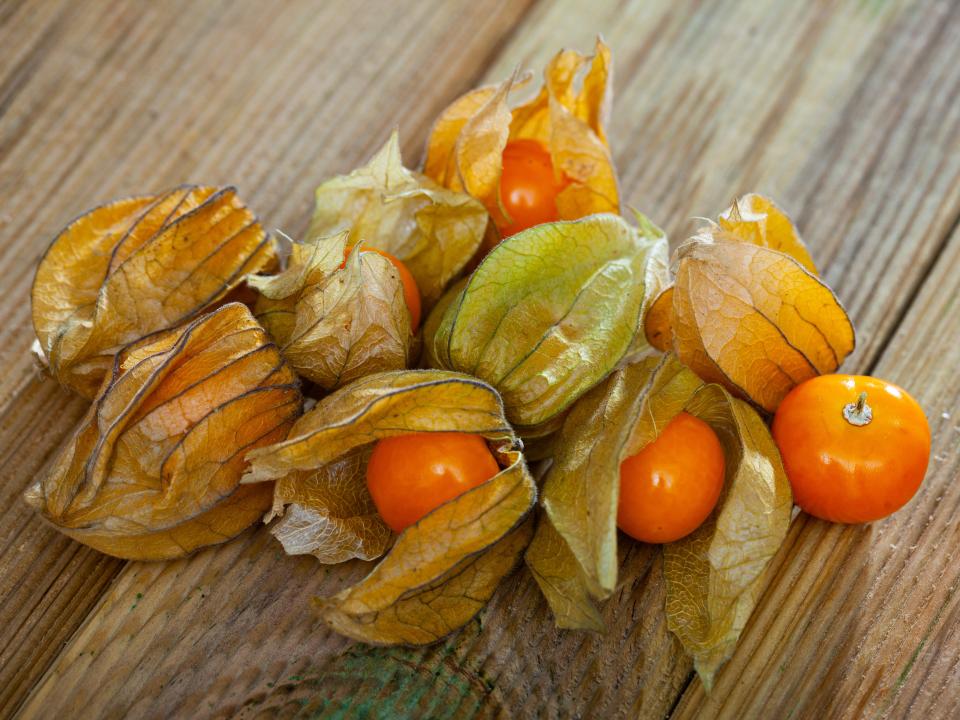 physalis eetbare vrucht